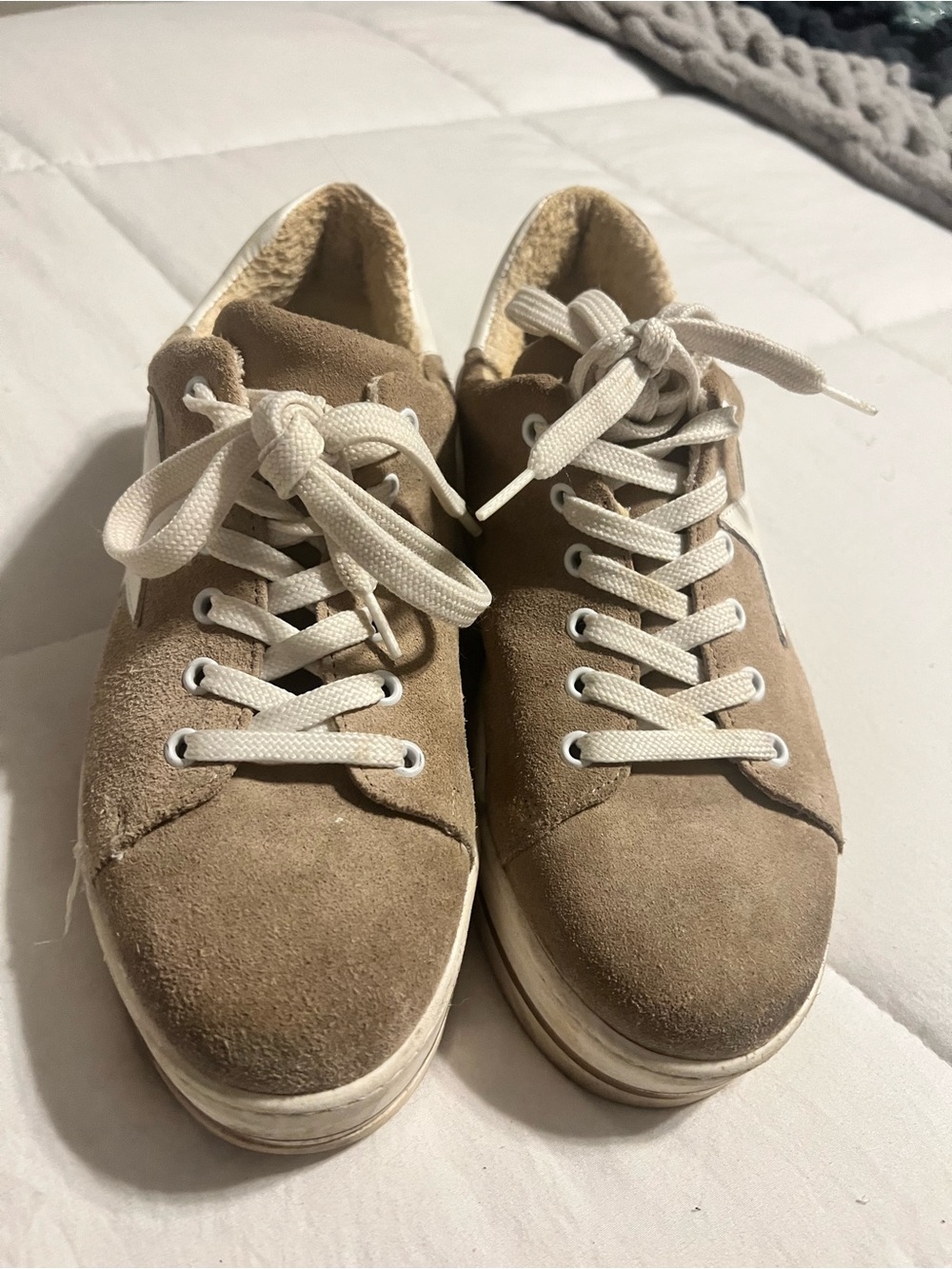 Steve Madden Neutral Suede Lace-Up Sneakers in Taupe